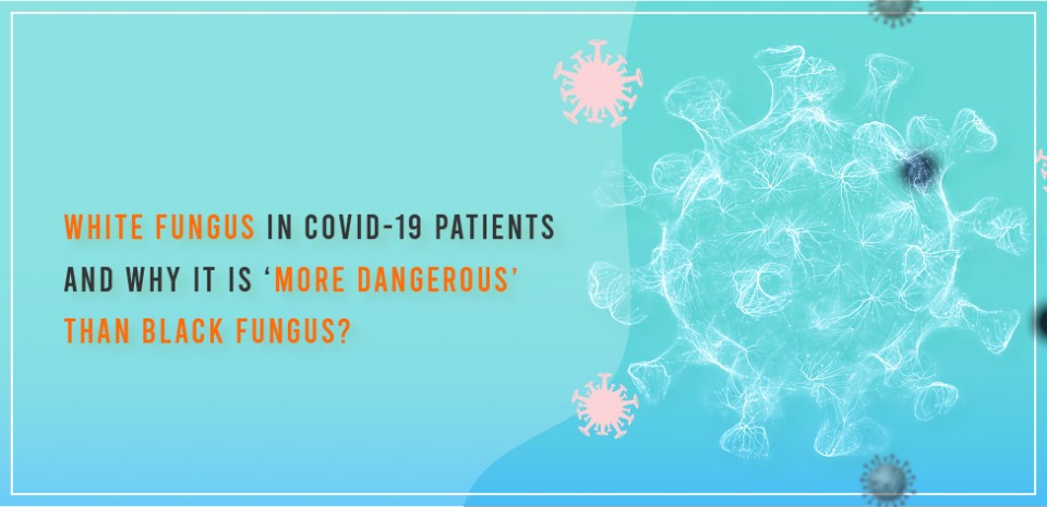 White fungus in COVID-19 patients and why it is ‘more dangerous’ than black fungus?